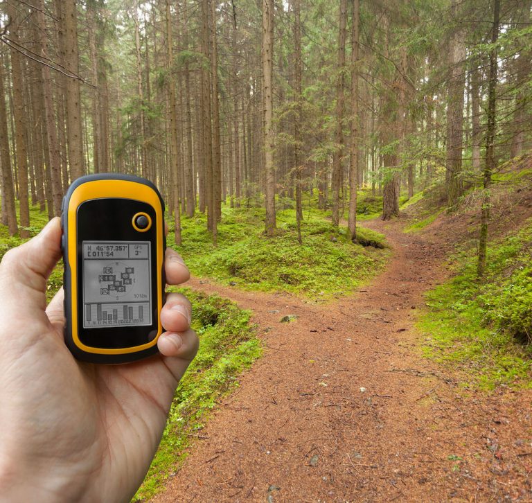 Person holding GPS receiver on a forest trail
